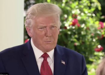 Journalists share data showing Black people are more likely to be killed by police after Trump says ‘more White people’ are killed