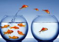 Customer churn: How to reduce it