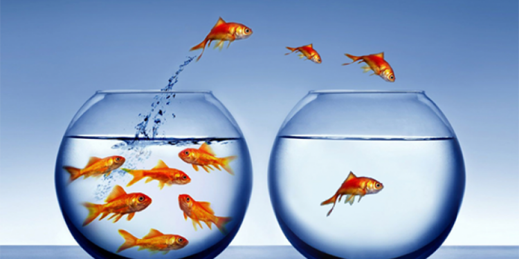 Customer churn: How to reduce it