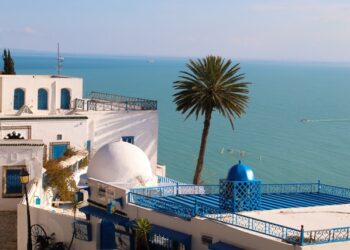 Oped: Dictatorship or Democracy? The Case of Tunisia