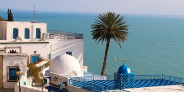 Oped: Dictatorship or Democracy? The Case of Tunisia