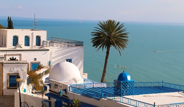 Oped: Dictatorship or Democracy? The Case of Tunisia