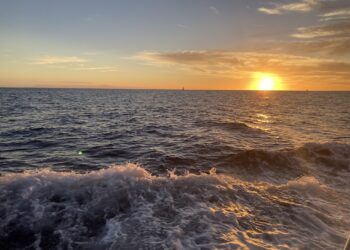 Private Honolulu Sunset Cruise: The ultimate ocean adventure