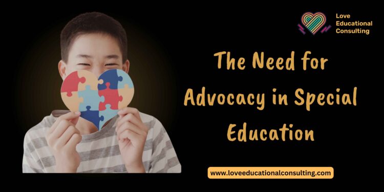 The Need for Advocacy in Special Education