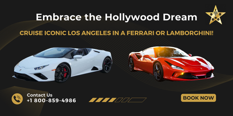 Ferrari or Lamborghini