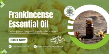 Frankincense Essential Oil
