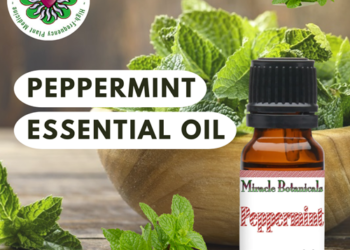 Peppermint Essential Oil