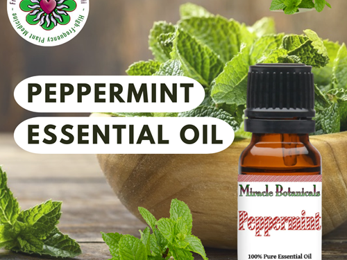 Peppermint Essential Oil