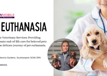 Understanding Pet Euthanasia | WW Mobile Veterinary Services