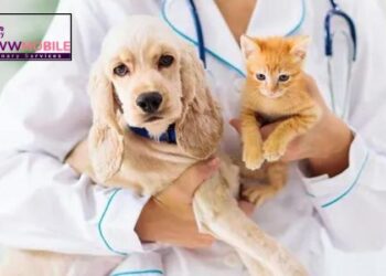 Convenient Veterinary Care Find Mobile Vets Near Me