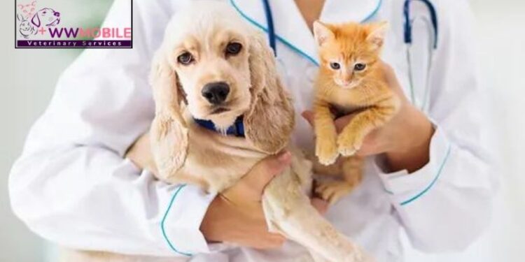Convenient Veterinary Care Find Mobile Vets Near Me