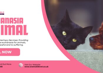 Exploring Euthanasia in Animal Care | WW Mobile Veterinary Services