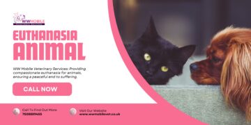 Exploring Euthanasia in Animal Care | WW Mobile Veterinary Services