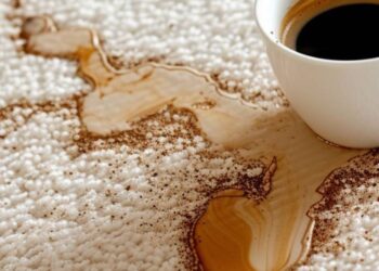 carpet stain removal melbourne