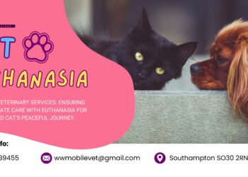 Saying Goodbye: Understanding Pet Euthanasia