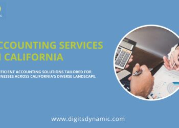 Digits Dynamic Startup Payroll Services Simplify Operations