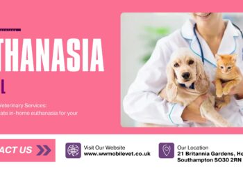 A Peaceful Farewell at Home: Choosing In-Home Euthanasia for Your Animal