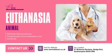 A Peaceful Farewell at Home: Choosing In-Home Euthanasia for Your Animal