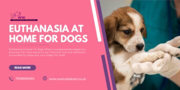 A Guide to In-Home Euthanasia for Your Dog | WW Mobile Veterinary Services