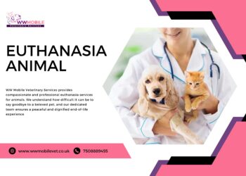 Saying Goodbye with Compassion: Euthanasia for Animals