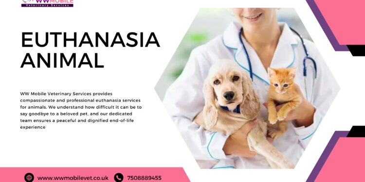 Saying Goodbye with Compassion: Euthanasia for Animals