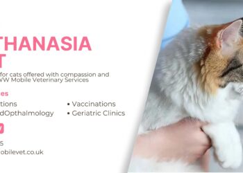 A Guide to Peaceful Euthanasia for Your Cat | WW Mobile Veterinary Services
