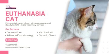 A Guide to Peaceful Euthanasia for Your Cat | WW Mobile Veterinary Services