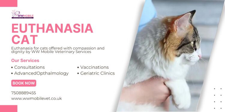 A Guide to Peaceful Euthanasia for Your Cat | WW Mobile Veterinary Services