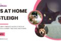 Pets at Home Eastleigh | WW Mobile Veterinary Services