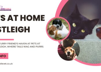 Pets at Home Eastleigh | WW Mobile Veterinary Services