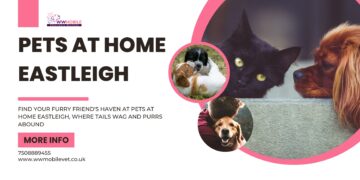 Pets at Home Eastleigh | WW Mobile Veterinary Services