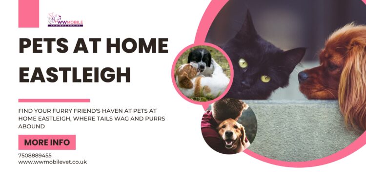 Pets at Home Eastleigh | WW Mobile Veterinary Services
