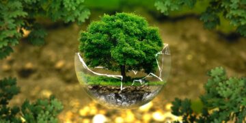 environmentally friendly