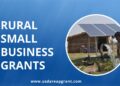 Empowering Rural Small Businesses for Sustainable Development