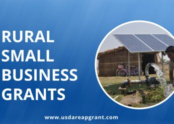 Empowering Rural Small Businesses for Sustainable Development