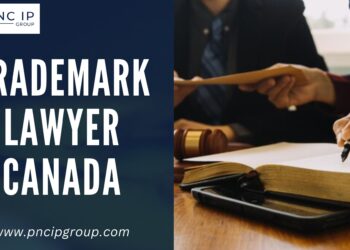 Protect Your Brand with Expert Legal Guidance