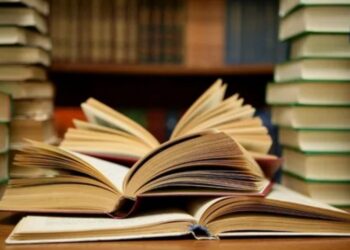 Exploring the Allure of Detective Novels