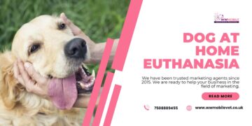 A Guide to Euthanasia At Home for Dogs | WW Mobile Veterinary Services