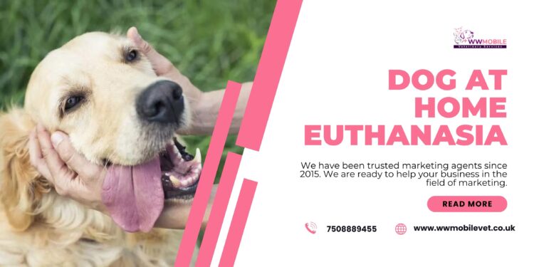 A Guide to Euthanasia At Home for Dogs | WW Mobile Veterinary Services