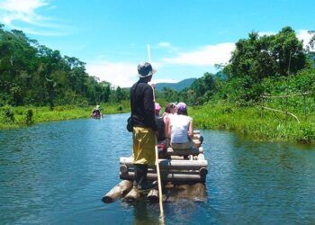 Manu National Park : A Symphony of Species in the Amazonian