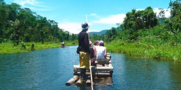 Manu National Park : A Symphony of Species in the Amazonian
