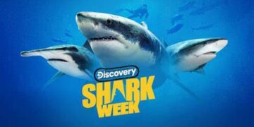 Warner Bros. Discovery Has More Than Shark Week Coming Soon