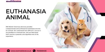 Letting Go With Love: The Gift of Euthanasia Animals