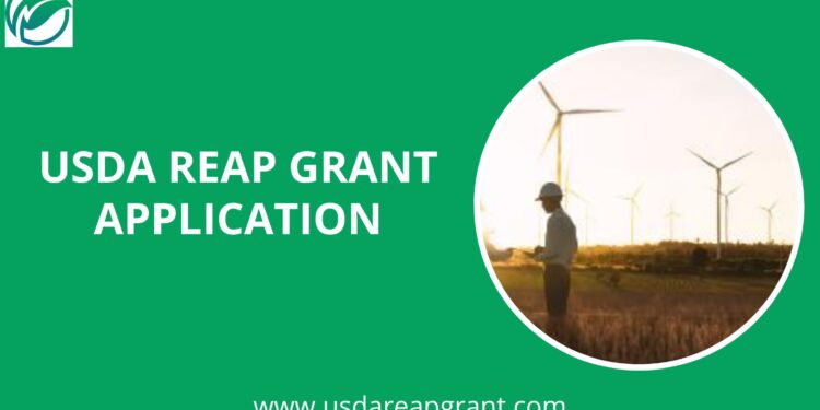 Simplifying the USDA REAP Grant Application
