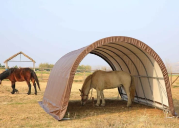 Die Zukunft der Landwirtschaft: Innovative Designs in der Gebäudearchitektur für die Landwirtschaft