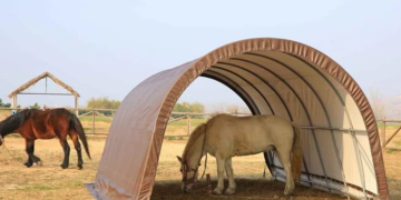 Die Zukunft der Landwirtschaft: Innovative Designs in der Gebäudearchitektur für die Landwirtschaft