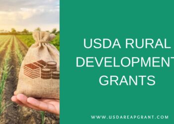 Simplifying the REAP Grant Application Process for Success