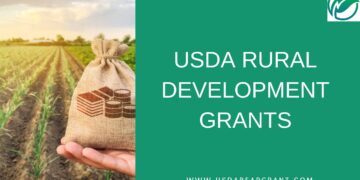 Simplifying the REAP Grant Application Process for Success