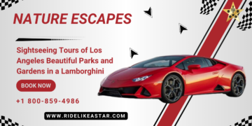 Tours of Los Angeles