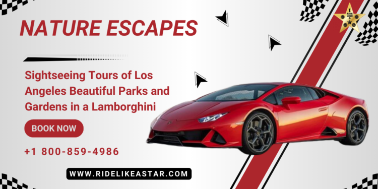Tours of Los Angeles